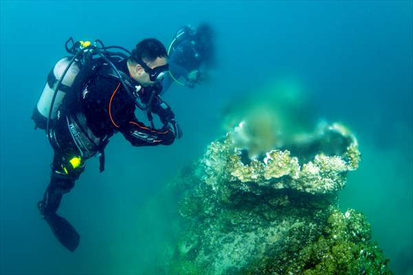 Sahil Güvenlik Komutanlığı timlerinin Van Gölü'nün derinliklerindeki tatbikatı görüntülendi