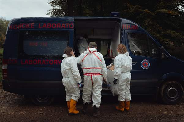 Search and removal of PCB contamination near Chemko Strazske chemical plant in Eastern Slovakia