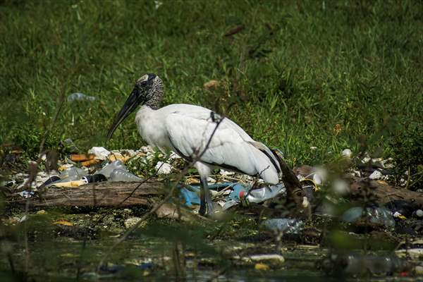 Cerron Grande reservoir pollution in El Salvador