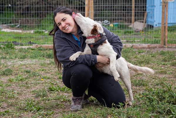 Dogs ride the bus to school