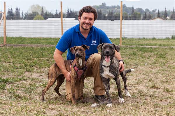 Dogs ride the bus to school