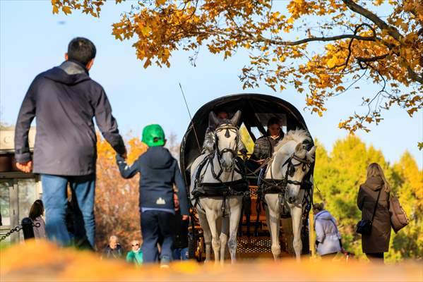 Autumn in Moscow