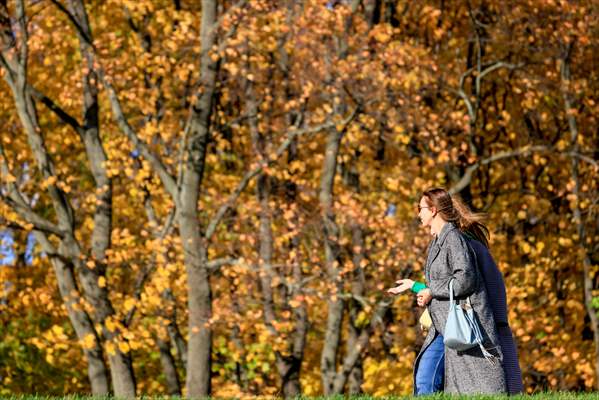 Autumn in Moscow