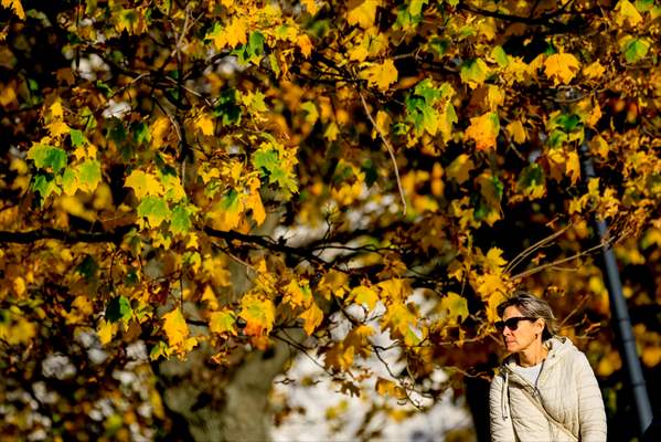 Autumn in Moscow