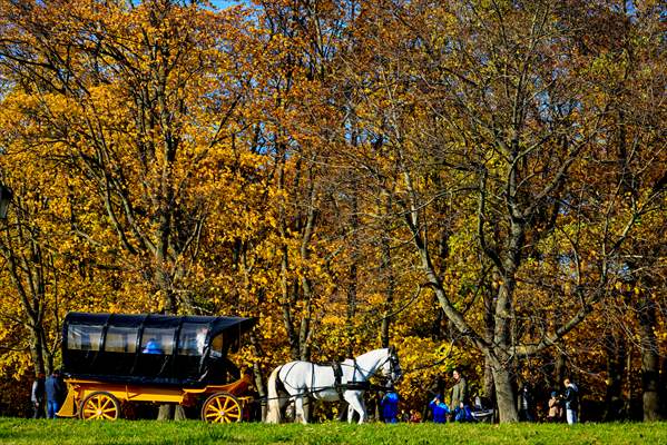 Autumn in Moscow