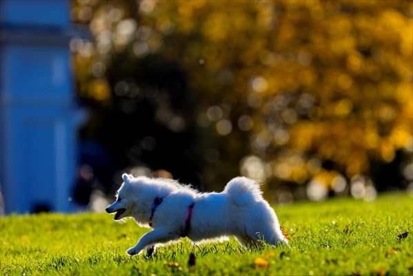 Autumn in Moscow