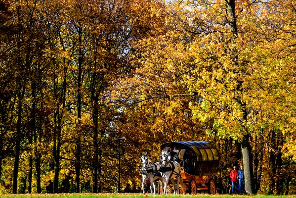 Autumn in Moscow