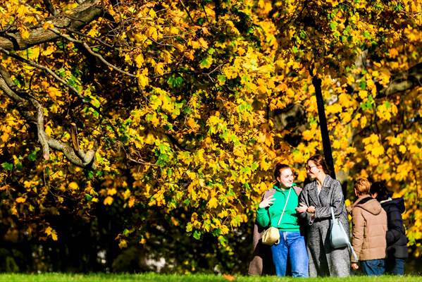 Autumn in Moscow