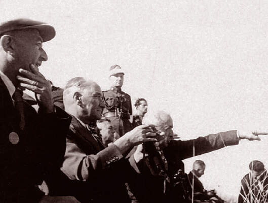 Mustafa Kemal Atatürk, Trakya Manevralarında