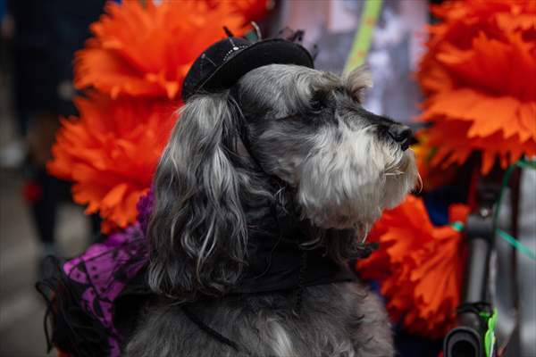 Catrinas Parade in Mexico City - Day of the Dead celebrations