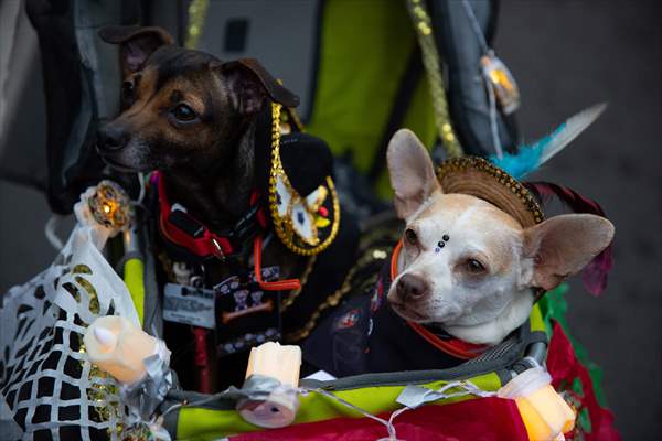 Catrinas Parade in Mexico City - Day of the Dead celebrations