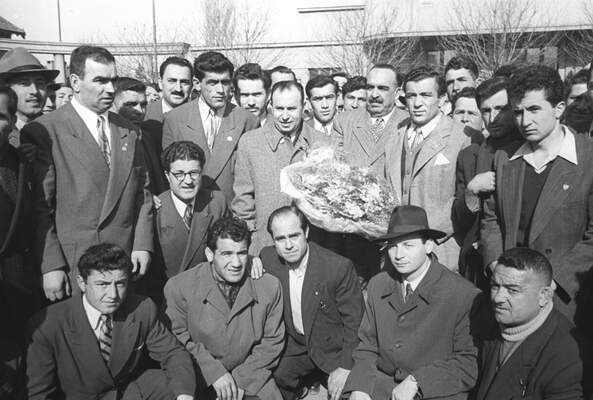 Şampiyon güreşçiler