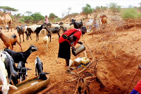 Drought worsens in Kenya amid insufficient rain