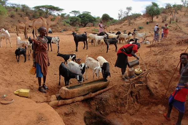 Drought worsens in Kenya amid insufficient rain