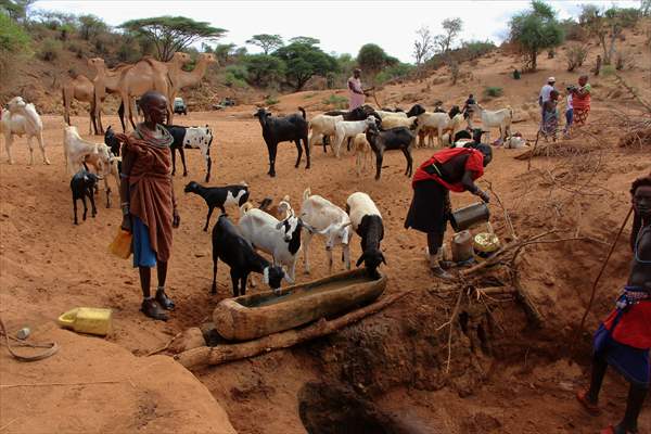 Drought worsens in Kenya amid insufficient rain
