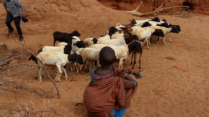 Drought worsens in Kenya amid insufficient rain