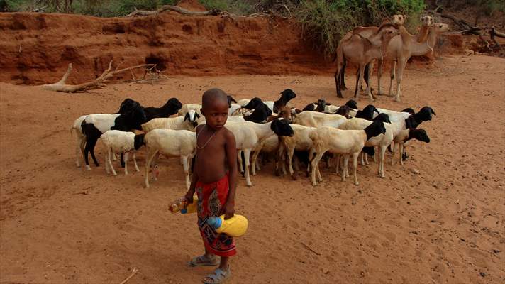 Drought worsens in Kenya amid insufficient rain