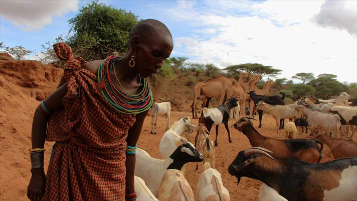 Drought worsens in Kenya amid insufficient rain