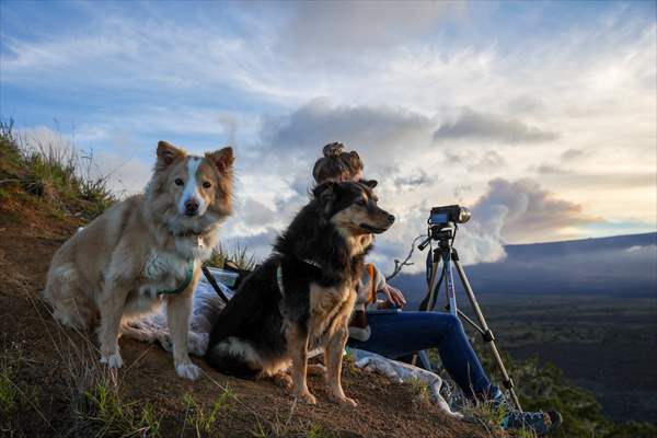 Hawaii's Mauna Loa erupts