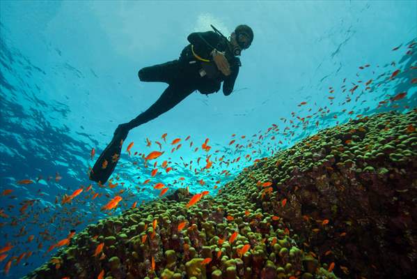 Underwater DOP dives with amputee person in Red Sea