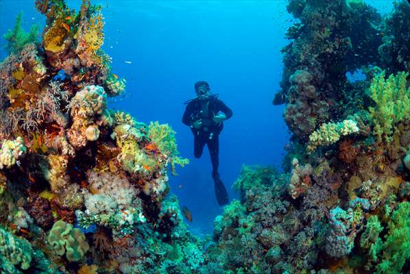 Underwater DOP dives with amputee person in Red Sea