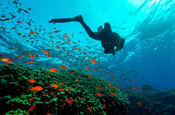 Underwater DOP dives with amputee person in Red Sea