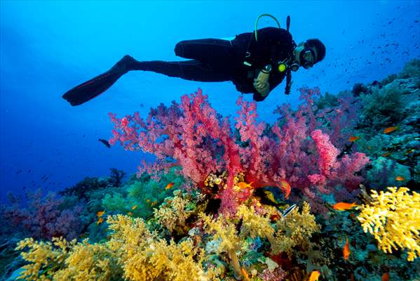 Underwater DOP dives with amputee person in Red Sea