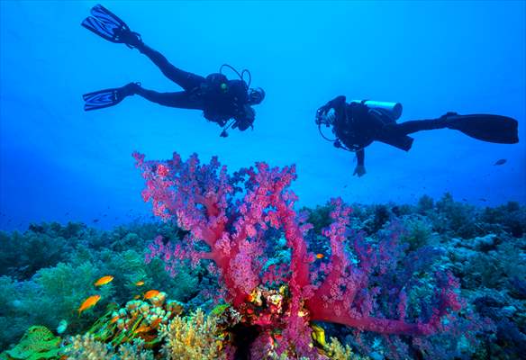 Underwater DOP dives with amputee person in Red Sea