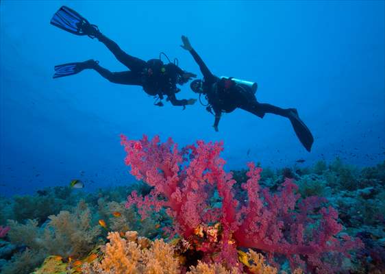 Underwater DOP dives with amputee person in Red Sea