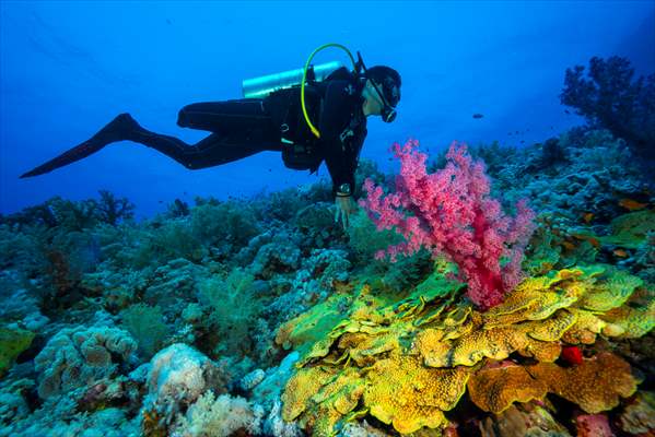 Underwater DOP dives with amputee person in Red Sea