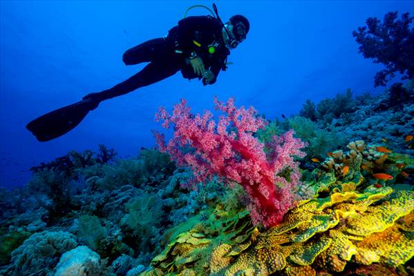 Underwater DOP dives with amputee person in Red Sea