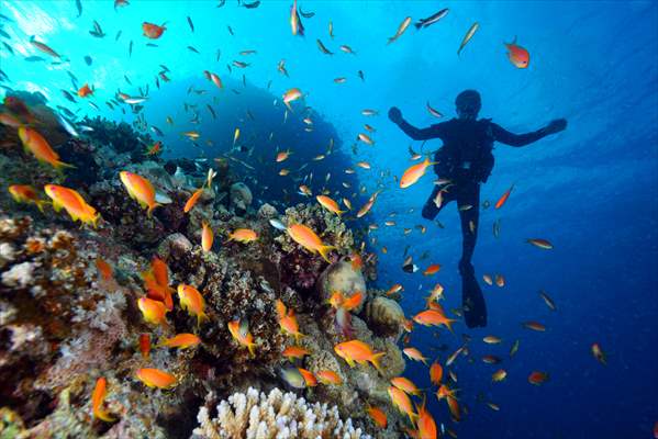 Underwater DOP dives with amputee person in Red Sea