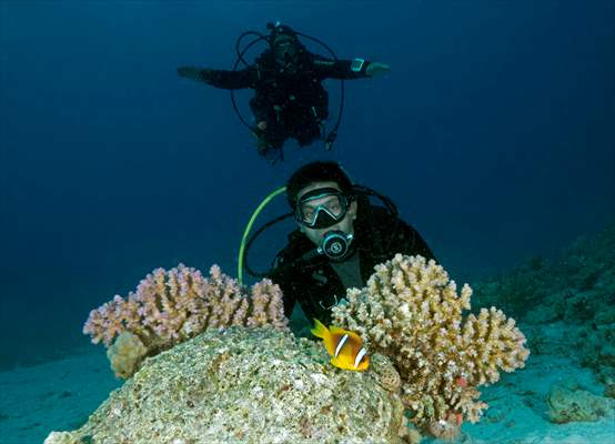 Underwater DOP dives with amputee person in Red Sea