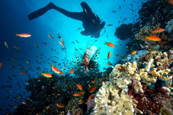 Underwater DOP dives with amputee person in Red Sea