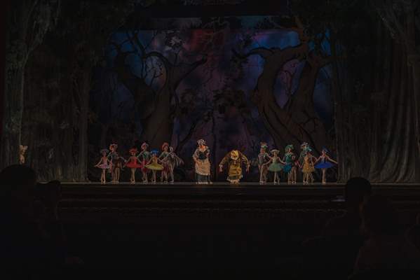 Ballet Little Red Riding Hood in Odessa