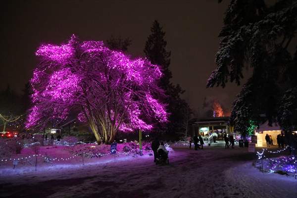 VanDusen Festival of Lights 2022