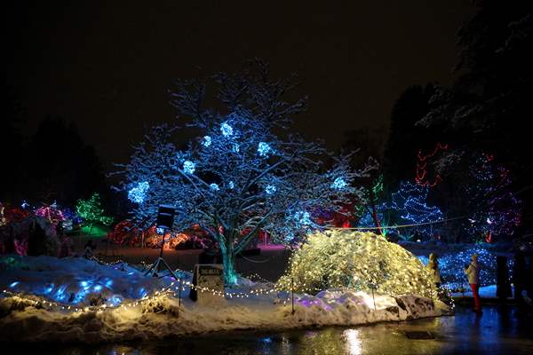 VanDusen Festival of Lights 2022