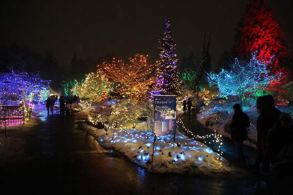 VanDusen Festival of Lights 2022