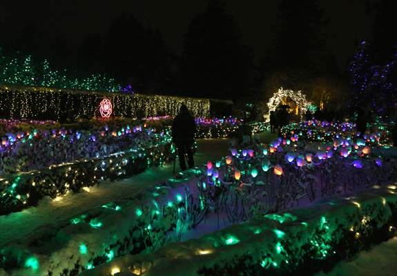 VanDusen Festival of Lights 2022