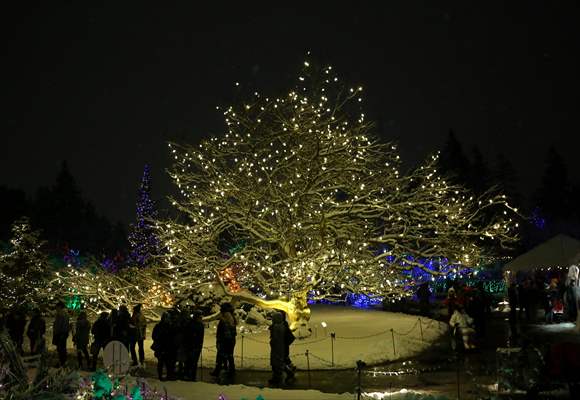 VanDusen Festival of Lights 2022