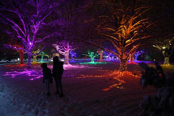 VanDusen Festival of Lights 2022