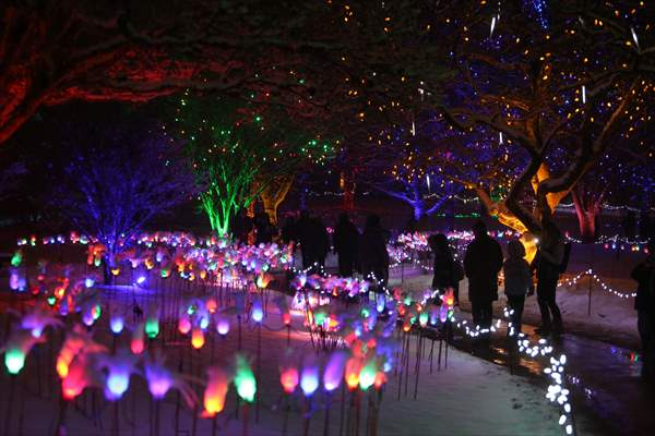 VanDusen Festival of Lights 2022