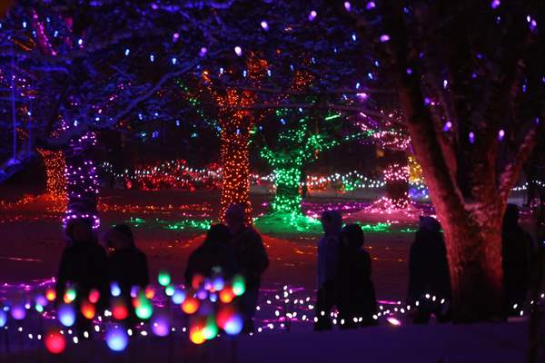 VanDusen Festival of Lights 2022