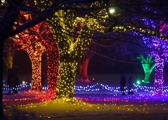 VanDusen Festival of Lights 2022