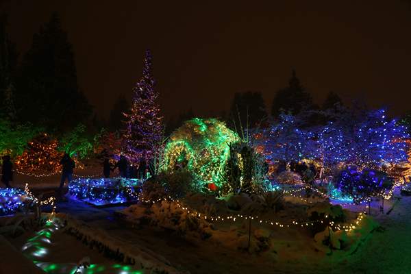 VanDusen Festival of Lights 2022