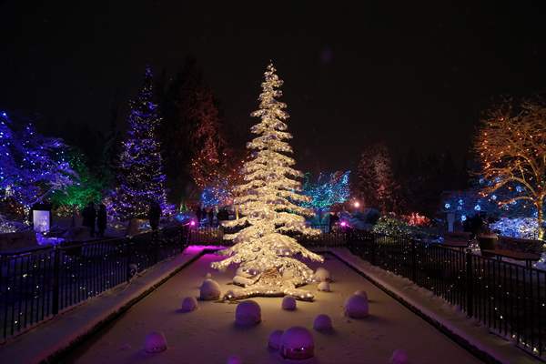 VanDusen Festival of Lights 2022