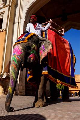 UNESCO World Heritage Site: Historical Amber Fort in India's Jaipur