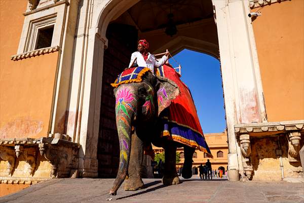 UNESCO World Heritage Site: Historical Amber Fort in India's Jaipur