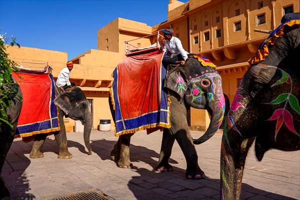 UNESCO World Heritage Site: Historical Amber Fort in India's Jaipur