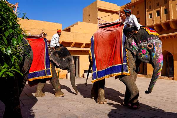 UNESCO World Heritage Site: Historical Amber Fort in India's Jaipur